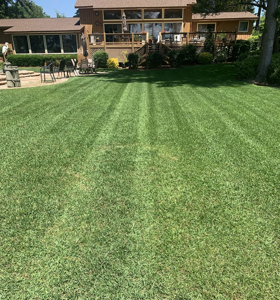 Picture of a Total Lawn Care & Landscape customer lawn