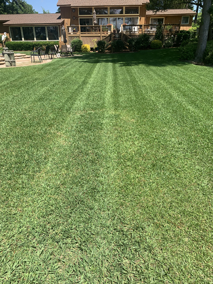 Total Lawn Care Beautiful Customer Lawn