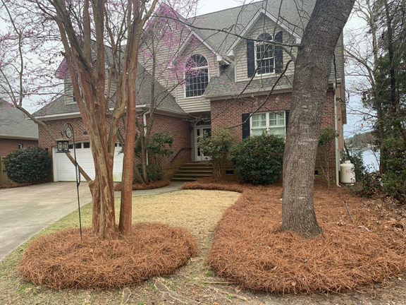 Total Lawn Care Long Needle Pine Straw Installation