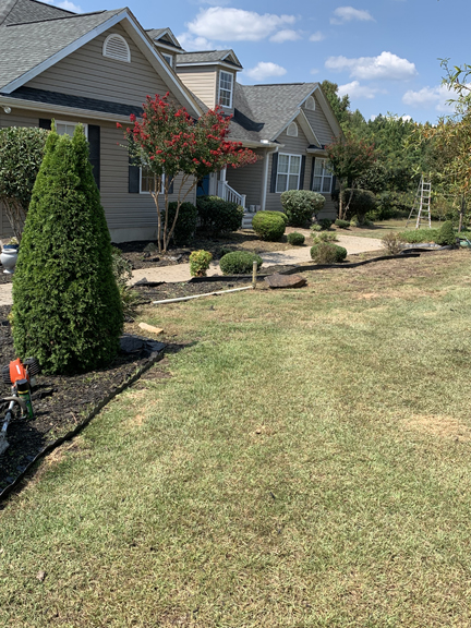 Total Lawn Care Shrub Trimming