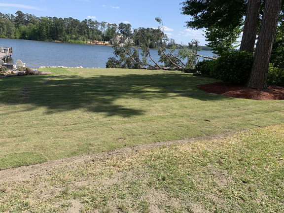 Total Lawn Care Sod Installation